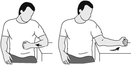 outward and inward rotation of the shoulder